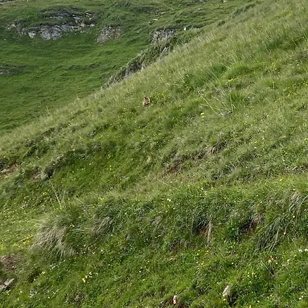 아파트 Glisch A Mathon