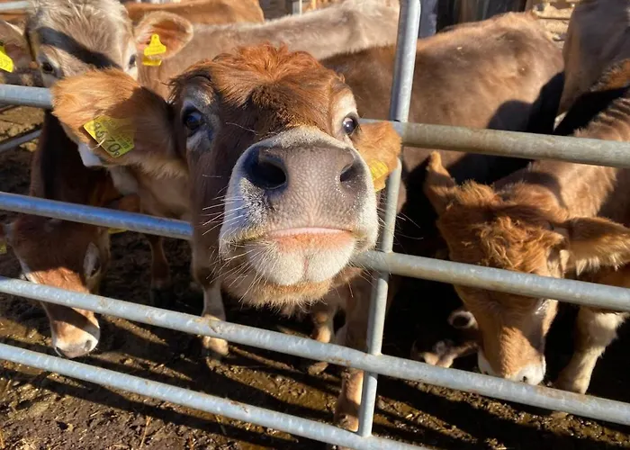 Glisch A Apartamento Mathon