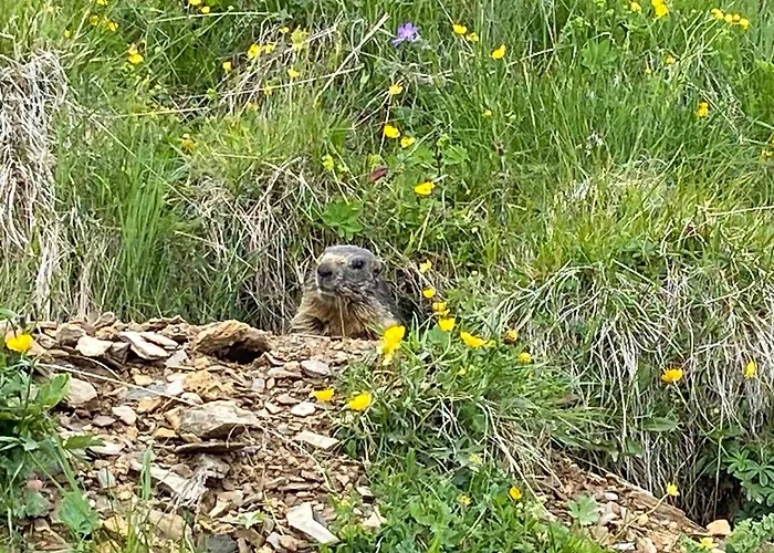 Apartamento Glisch A