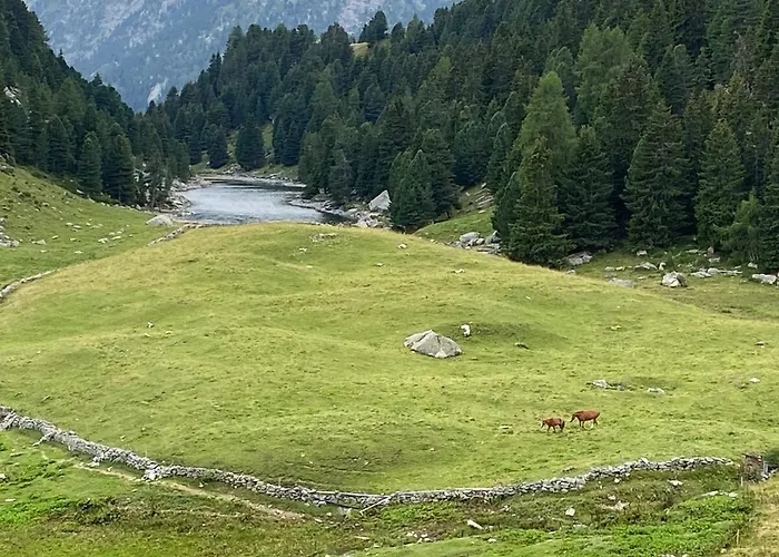 Glisch A Apartamento