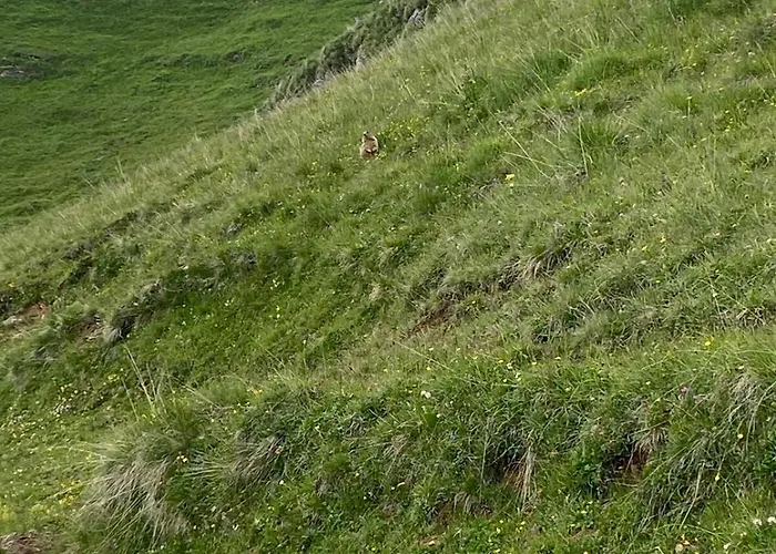 Apartamento Glisch A Mathon